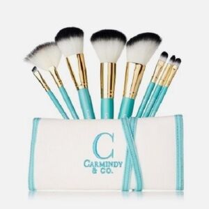 NWT Carmindy & Ci make up brushes-8 brushes